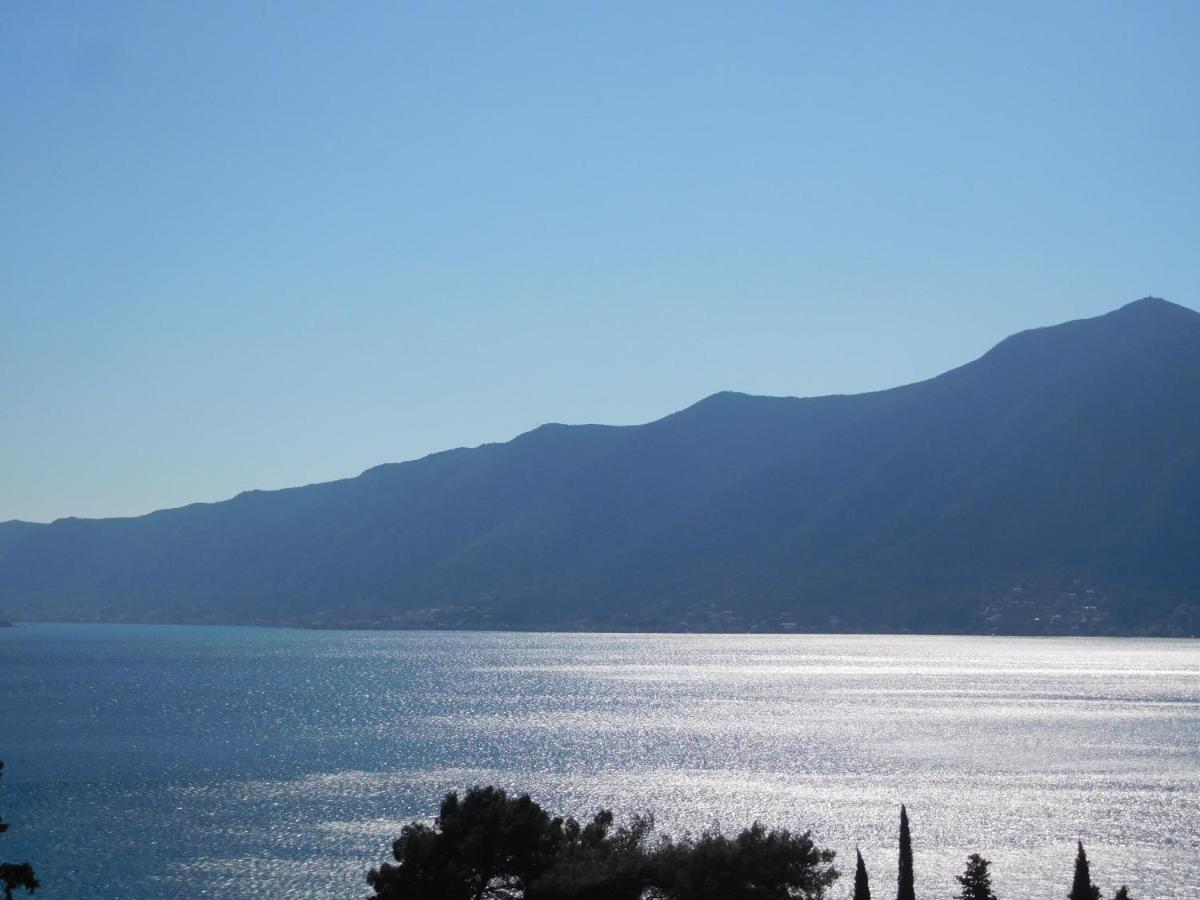 Villa Aronija Kotor Buitenkant foto