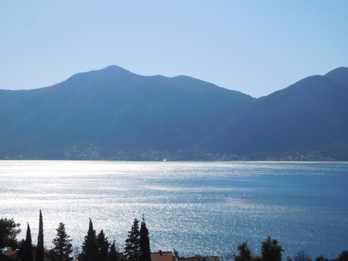 Villa Aronija Kotor Buitenkant foto