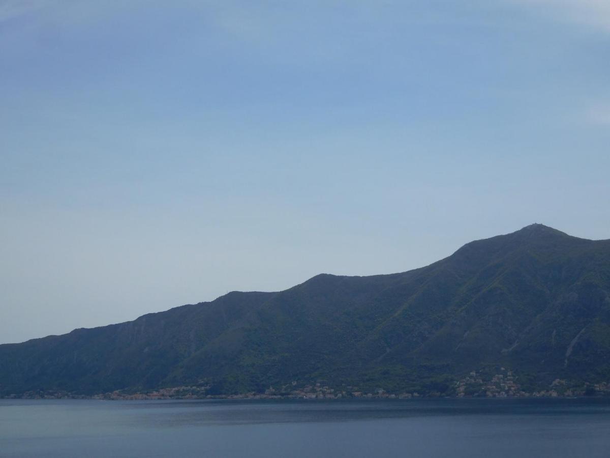 Villa Aronija Kotor Buitenkant foto