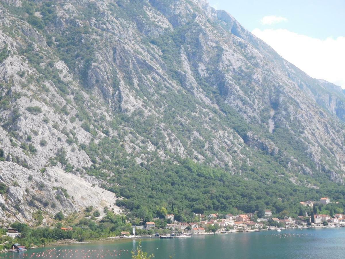 Villa Aronija Kotor Buitenkant foto