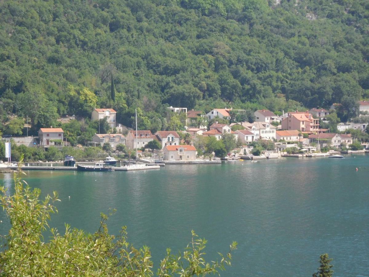 Villa Aronija Kotor Buitenkant foto