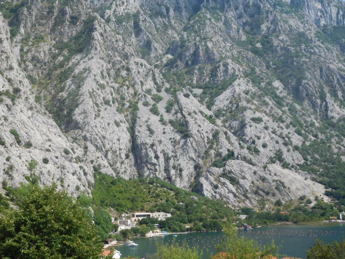 Villa Aronija Kotor Buitenkant foto