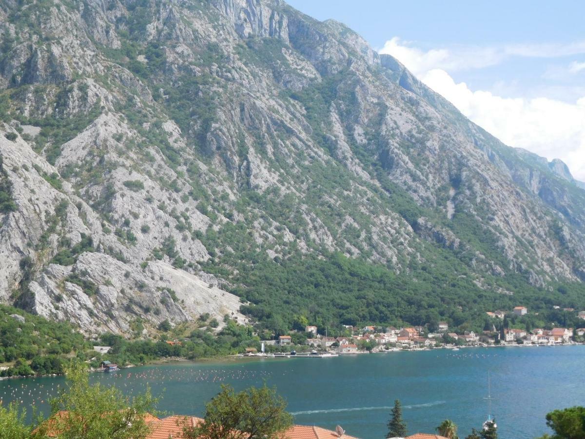 Villa Aronija Kotor Buitenkant foto