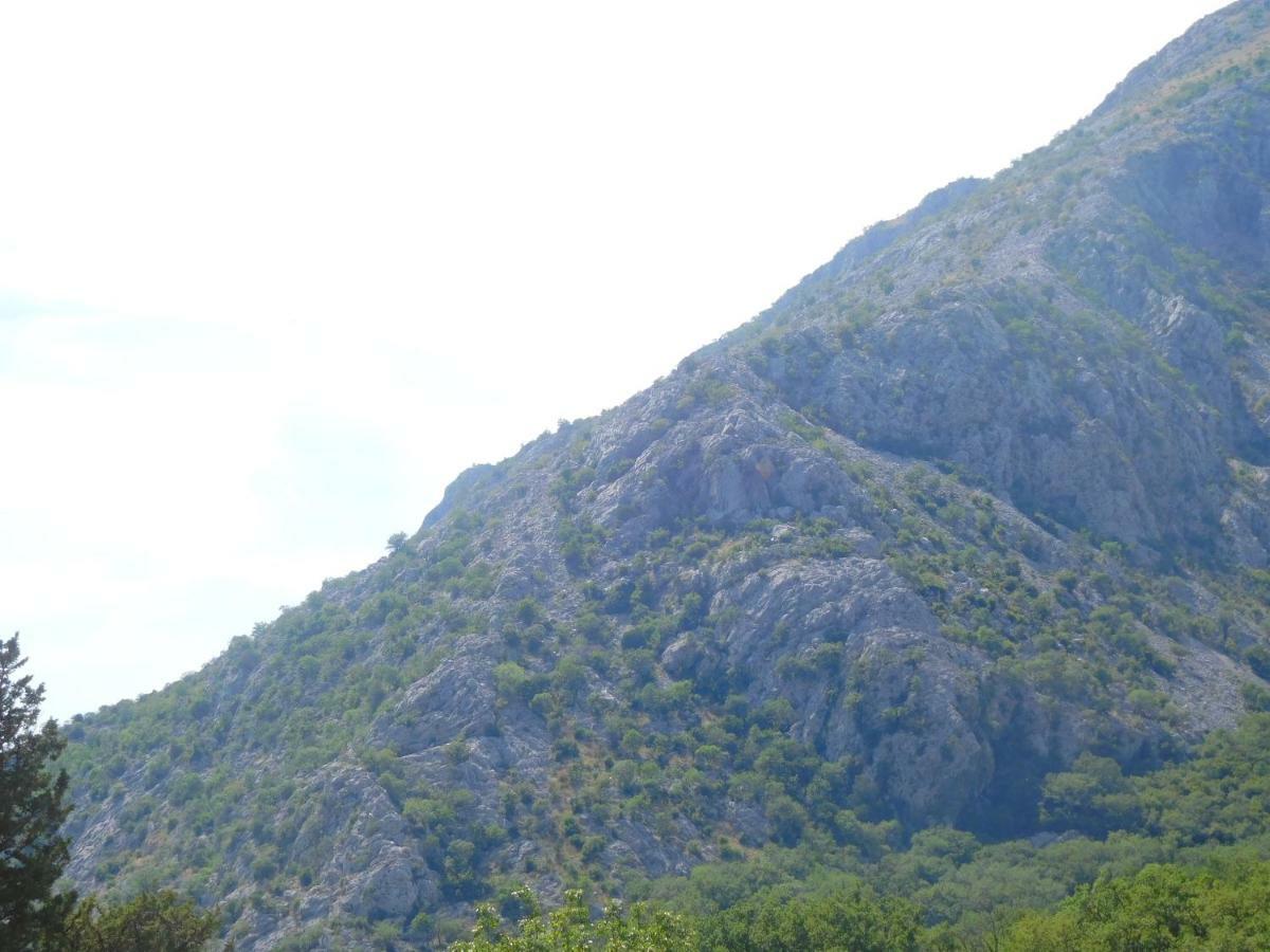 Villa Aronija Kotor Buitenkant foto