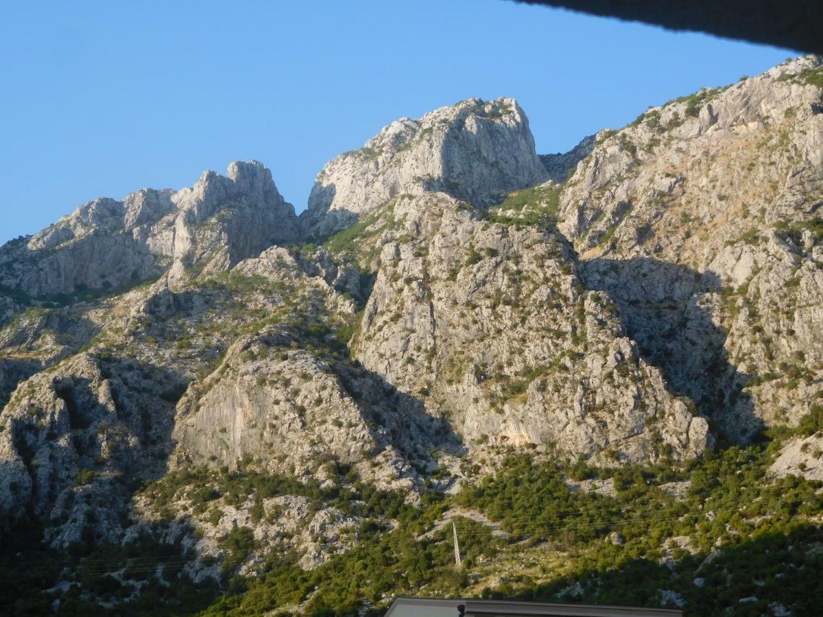 Villa Aronija Kotor Buitenkant foto